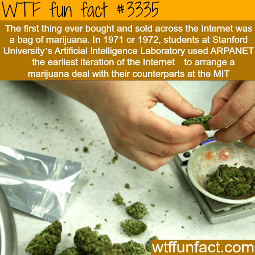 The first item sold on the internet -  WTF fun facts