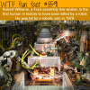 the first man to be killed by a robot wtf fun