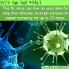 the flu virus on your skin wtf fun facts