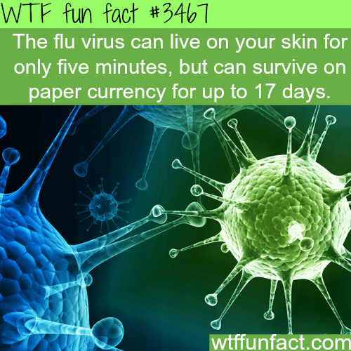 The flu virus on your skin -  WTF fun facts