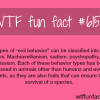 the four types of evil behavior wtf fun facts