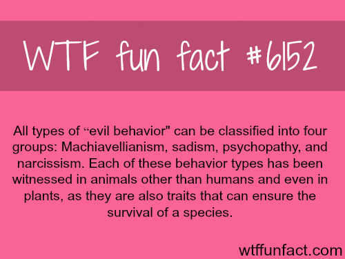 The four types of evil behavior - WTF fun facts