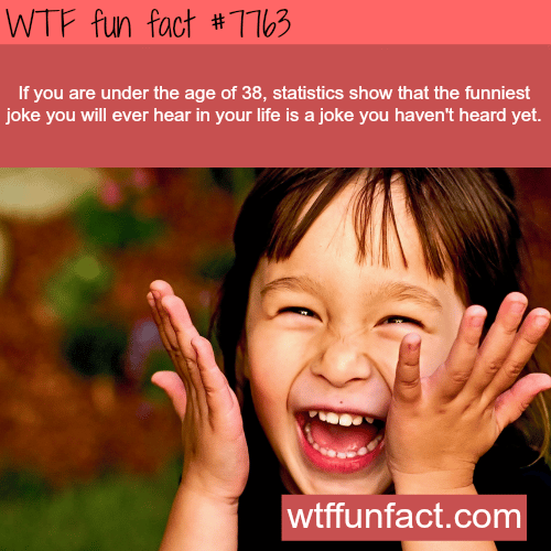 The funniest joke you will ever hear - WTF fun facts