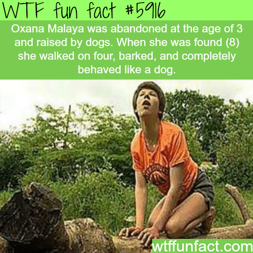 The girl that was raised by dogs - WTF fun facts