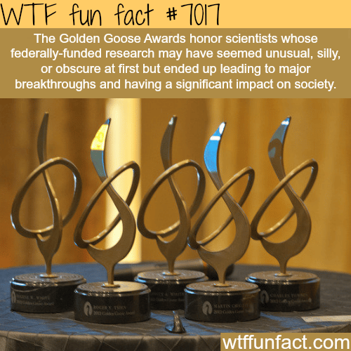 The Golden Goose Awards - WTF fun facts