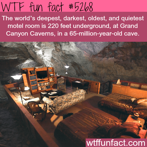 The Grand Canyon’s underground hotel - WTF fun facts