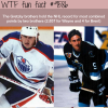 the gretzky brothers wtf fun fact