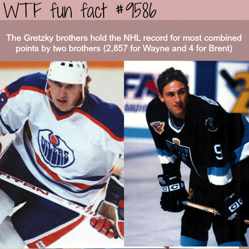 The Gretzky Brothers - WTF fun fact