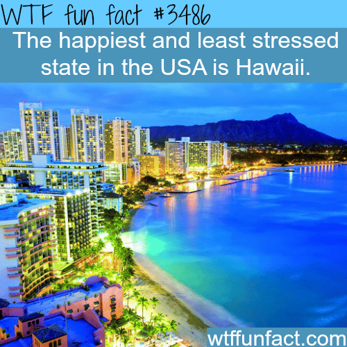 The happiest state in America -  WTF fun facts