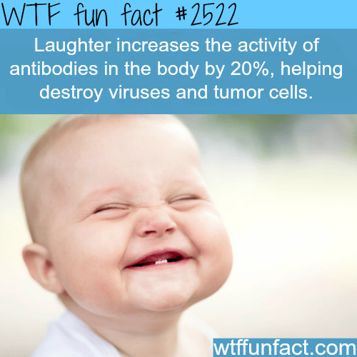 The health facts about laughter - WTF fun facts