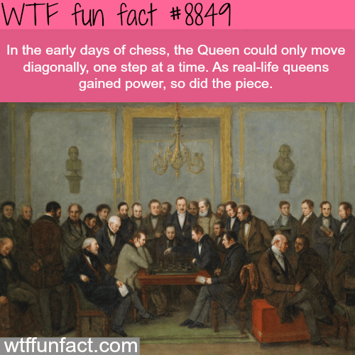 The History of Chess - WTF fun facts 