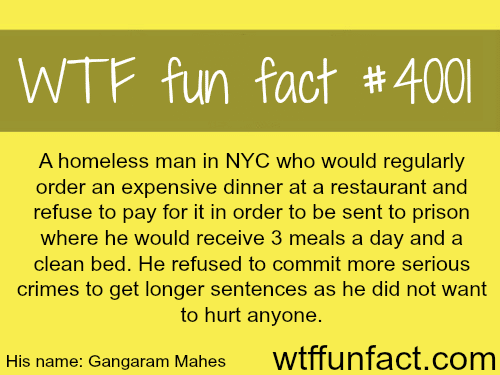 The homeless man that eats at the best restaurants in NYC - WTF fun facts