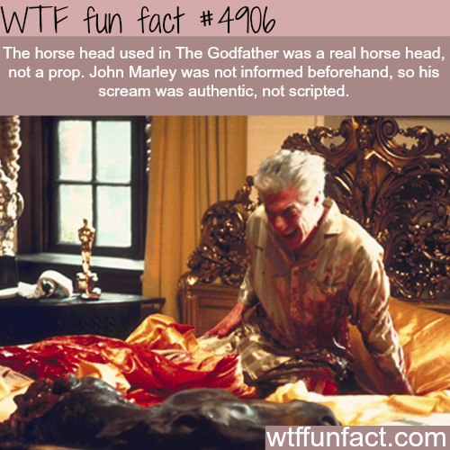 The horse head scene in the Godfather - WTF fun facts   