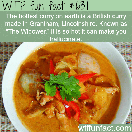 The hottest curry in the world - WTF fun facts