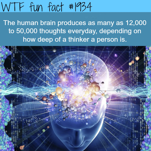  The human brain facts  - WTF fun facts