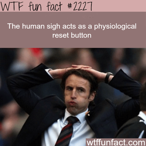The Human sigh - WTF fun facts