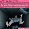 the hypnic jerk facts