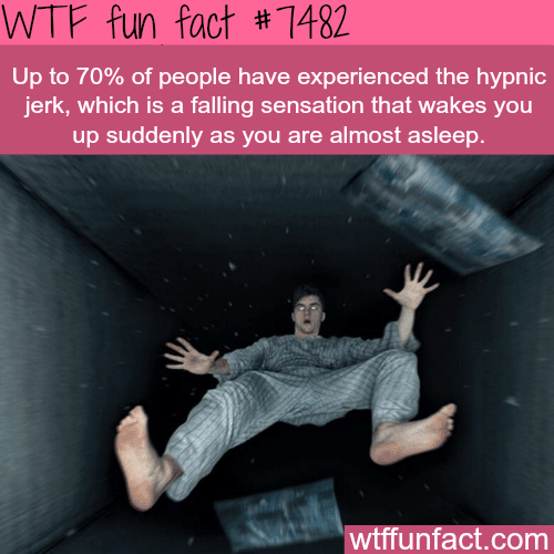 The hypnic jerk - FACTS
