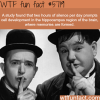 the importance of silence wtf fun facts
