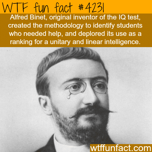 The Inventor Of The Iq Test