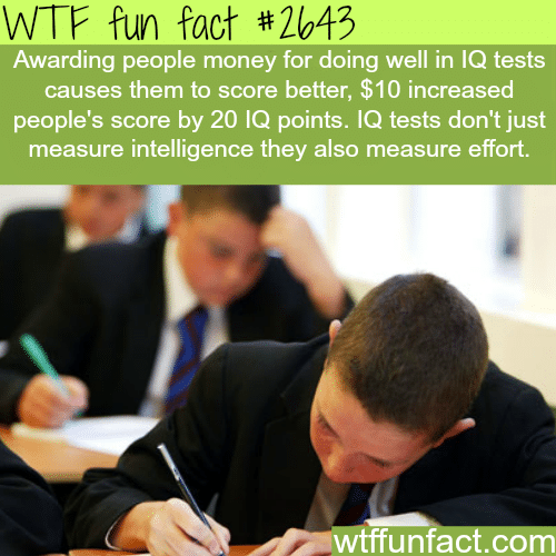 The IQ tests - WTF fun facts