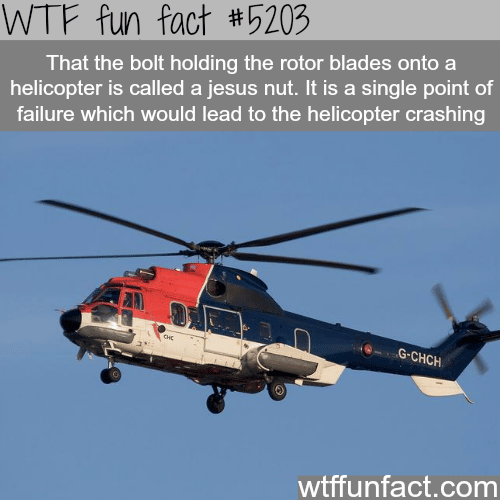 The Jesus nut - WTF fun facts