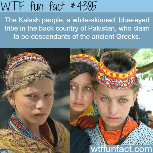 The Kalash people - WTF fun facts