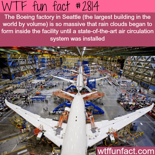 The largest building in the world - WTF fun facts