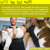 the largest cat in the world wtf fun facts