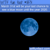 the last day to see a blue moon until 2020 wtf