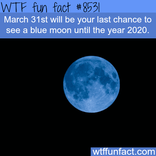 The last day to see a blue moon until 2020 - WTF fun facts