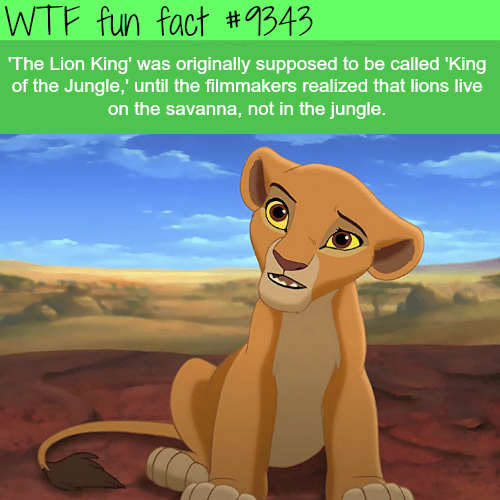 The Lion King - WTF fun facts