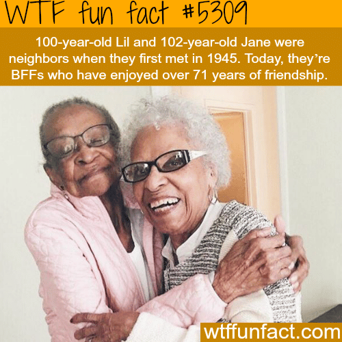The longest friendship? - WTF fun facts