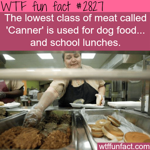 The lowest class of meat… just disgusting -  WTF fun facts