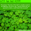the luck of the irish meaning