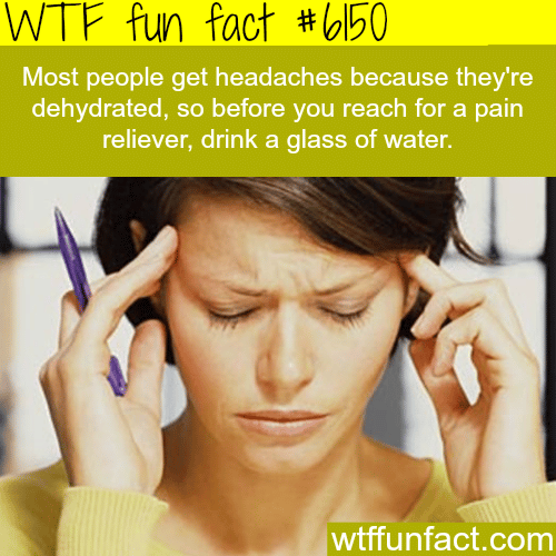 The main reason why you get headache - WTF fun facts
