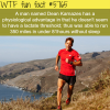 the man who can run forever dean karnazes wtf