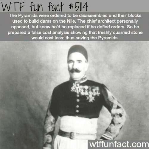 The man who saved the Pyramids - WTF fun facts