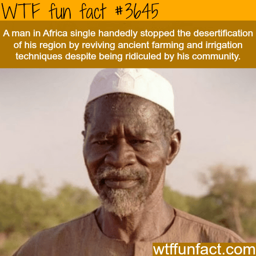 The man who stopped the desert -  WTF fun facts