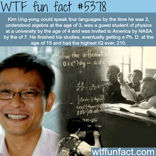 The man with the highest IQ in the world - WTF fun facts