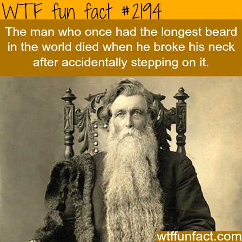 The man with the longest beared in the world - WTF fun facts