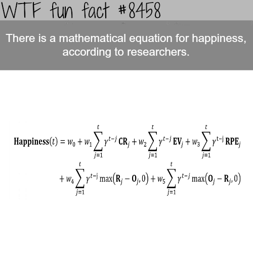 The mathematical equation for happiness - WTF fun facts