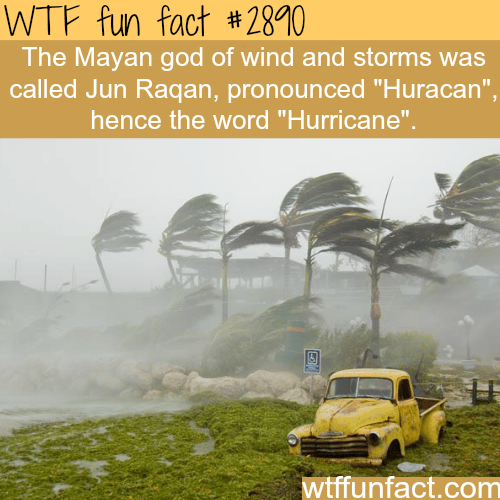 The Mayan god of wind -  WTF fun facts