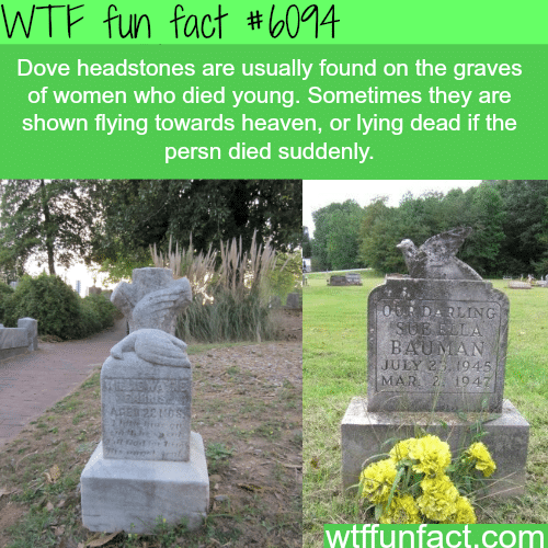 The meaning behind gravestones symbols - WTF fun facts