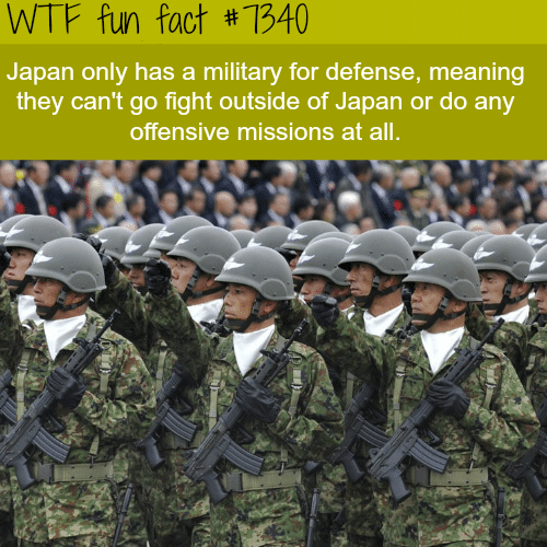 The Military of Japan - WTF fun fact