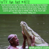 the most amazing story about a man a crocodile
