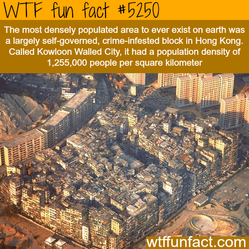 The most densely populated area - WTF fun facts