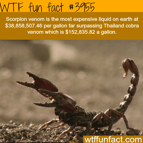 The most expensive liquid on earth - WTF fun facts