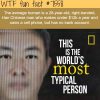 the most typical person in the world wtf fun