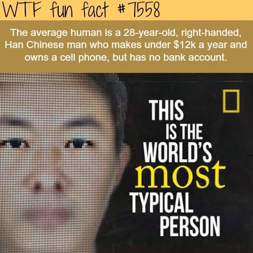 The most typical person in the world - WTF fun facts